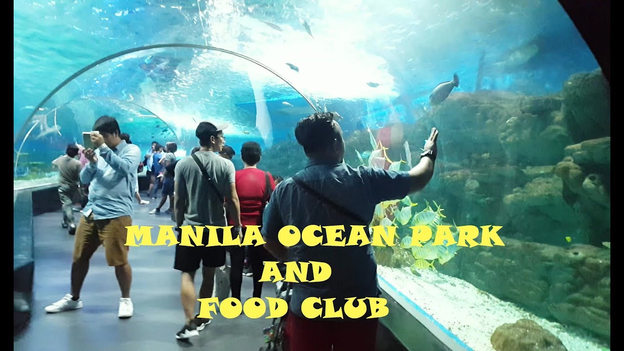 MANILA OCEAN PARK AND FOOD CLUB Zach's Birthday LottiesDay YouTube