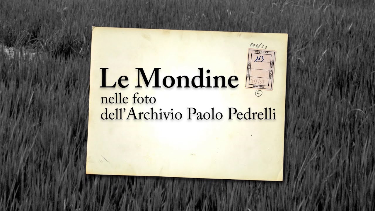 Le Mondine nelle foto dell' Archivio Paolo Pedrelli