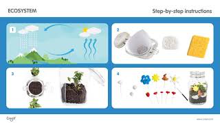Lesson plan: Ecosystem
