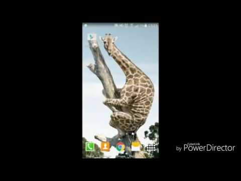 How to See Android App Source Code decompile (java)