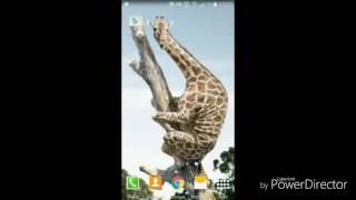 How to See Android App Source Code decompile (java)