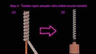 High-Performance Twisted Nylon Actuators for Soft Robots Movie S1