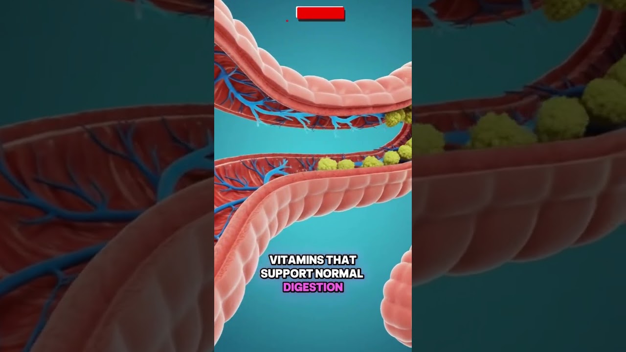 What Happens to Cauliflower Inside Your Body (Stylized 3D Digestion Explained)