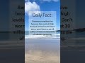 Daily Fact 6