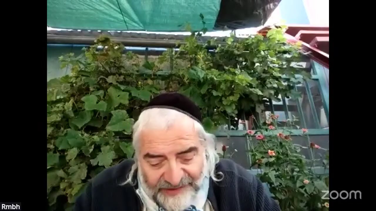 Daf HaYomi - Zevahim 7