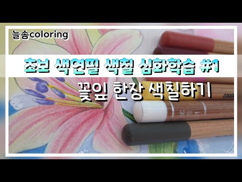 초보 색연필 색칠 심화학습 #1  / 소녀의시간 컬러링북 / 백합 꽃잎 색칠하기