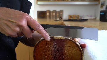 Glimpse into Part 1 of Online Violin Neck Graft Course