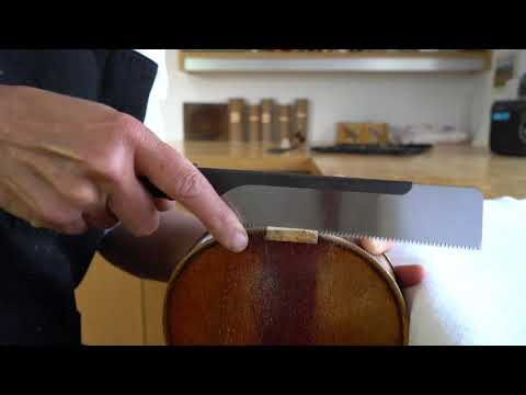Glimpse into Part 1 of Online Violin Neck Graft Course