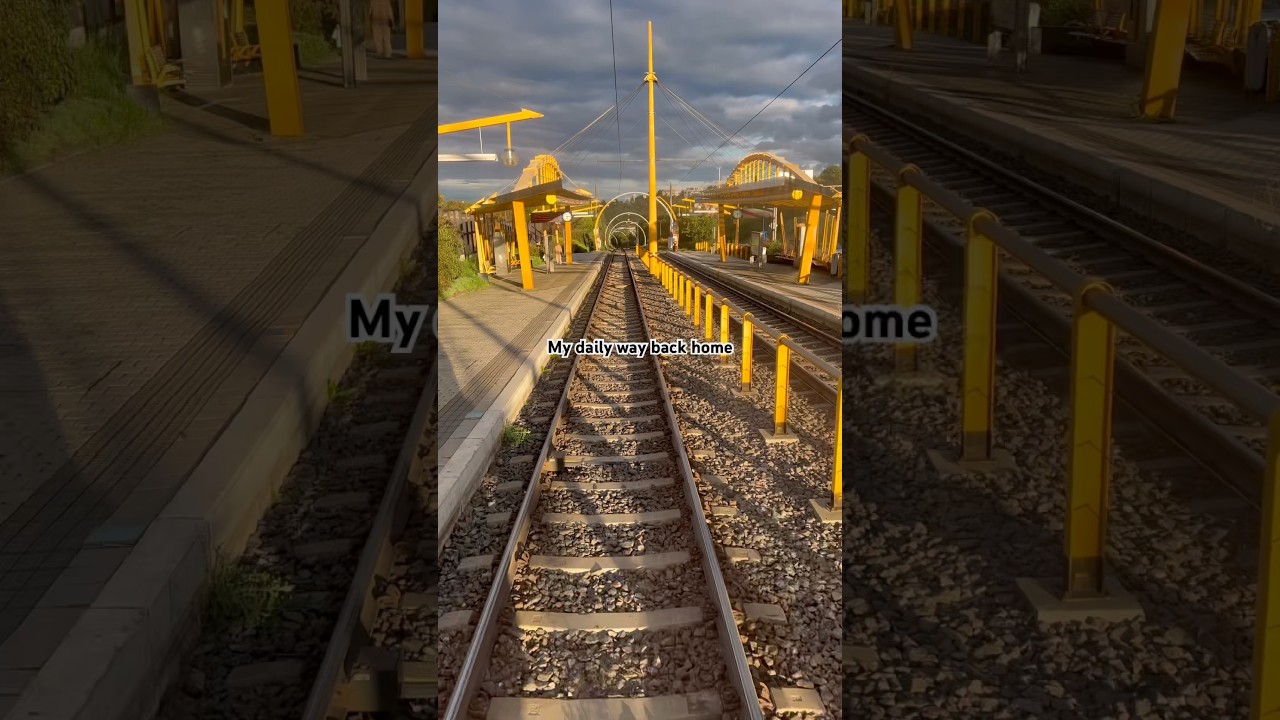 Nature on my way home in Prague 