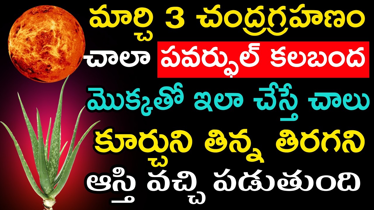 మార్చి 3 చంద్రగ్రహణం చాలా పవర్ఫుల్ కలబంద మొక్కతో తరతరాలు కూర్చుని తిన్న తిరగని ఆస్తి వచ్చి పడుతుంది