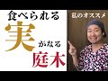 【食べてもOK】オススメの実がなる庭木５本を紹介【庭師が勧める】