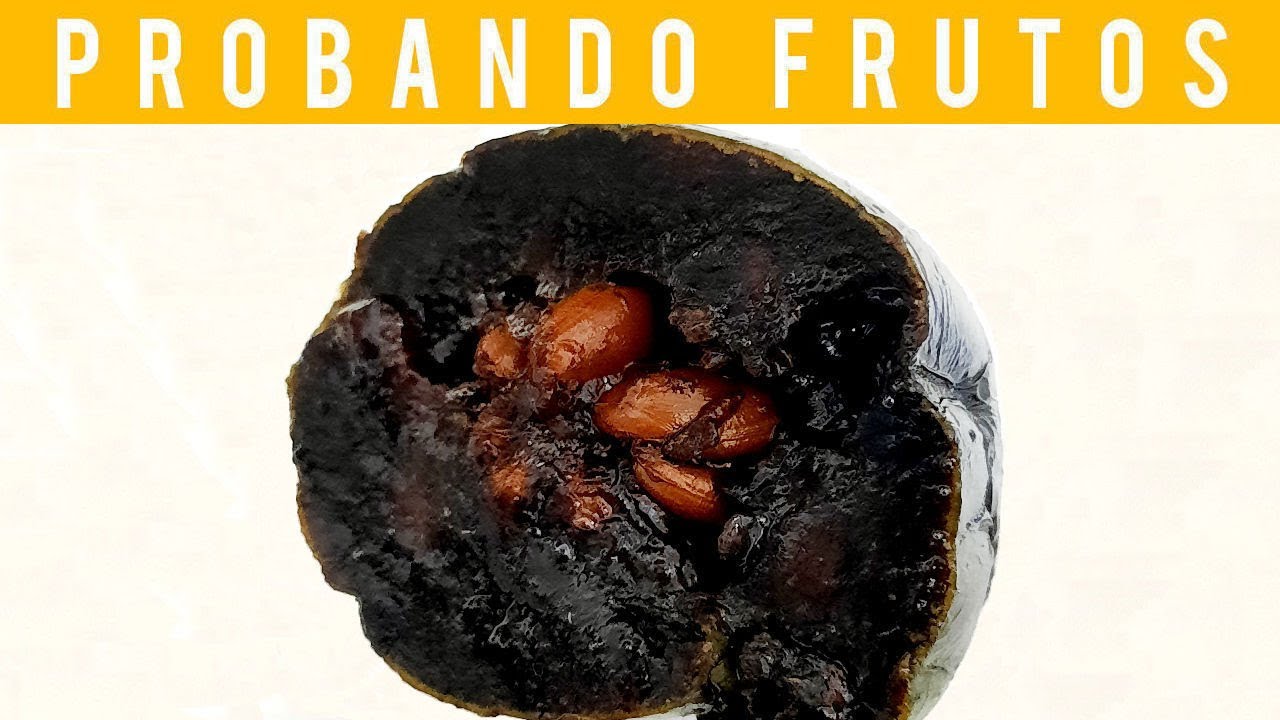 🟠PROBANDO ZAPOTE NEGRO-TEST de FRUTAS (CHOCOLATE PUDDING FRUIT) (TASTING BLACK SAPOTE)🍽️🍫😋 (2022)
