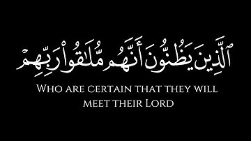 اتامرون الناس بالبر و تنسون انفسكم || كرومات شاشة سوداء القرآن||  سورة البقرة || quran black chrome