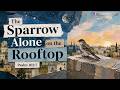 The Sparrow alone on the rooftop Psalm 102 vs 7 an exhortation from Bible student David Fraser