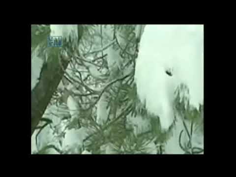 L.M. Its 152 a 158 - Tema: Psicografia Indireta: Cestas e Pranchetas. Psicografia Direta ou Manual denise vasi