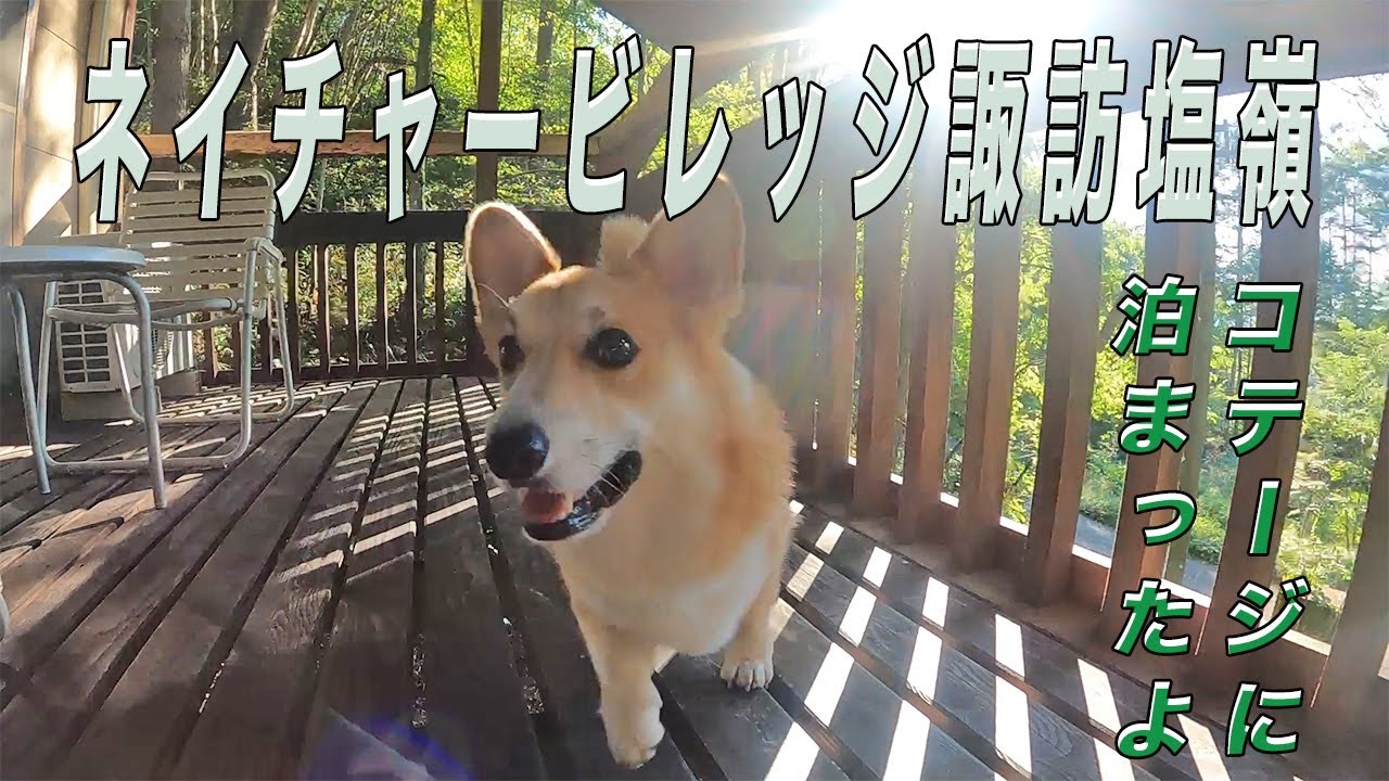 コーギーが【ネイチャービレッジ諏訪塩嶺】のコテージのお部屋紹介！