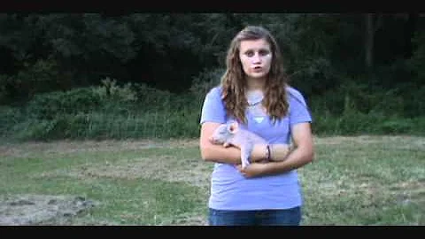 Renee Laurent - "The Next Kentucky Farm Star" Entr...