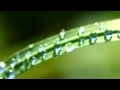 【睡眠用・勉強用BGM】NEW癒しのセッション20_雨バージョン(θ波)