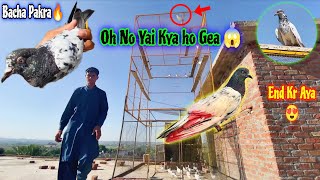 Ohh No😱 Hath Se Nikal Gea "Shikar😅