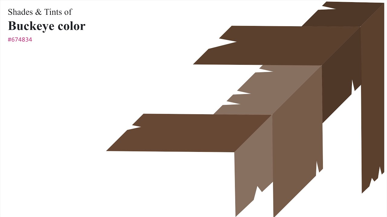 Shades & Tints of Buckeye color #674834 A Warm Brown color #5b402e ...