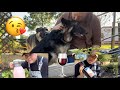 Garden distractions dogs wine decisions ramblingsoh and an unboxing 