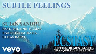 Subtle Feelings - Ecstasy| Sujan Sandhu | Official Song Audio