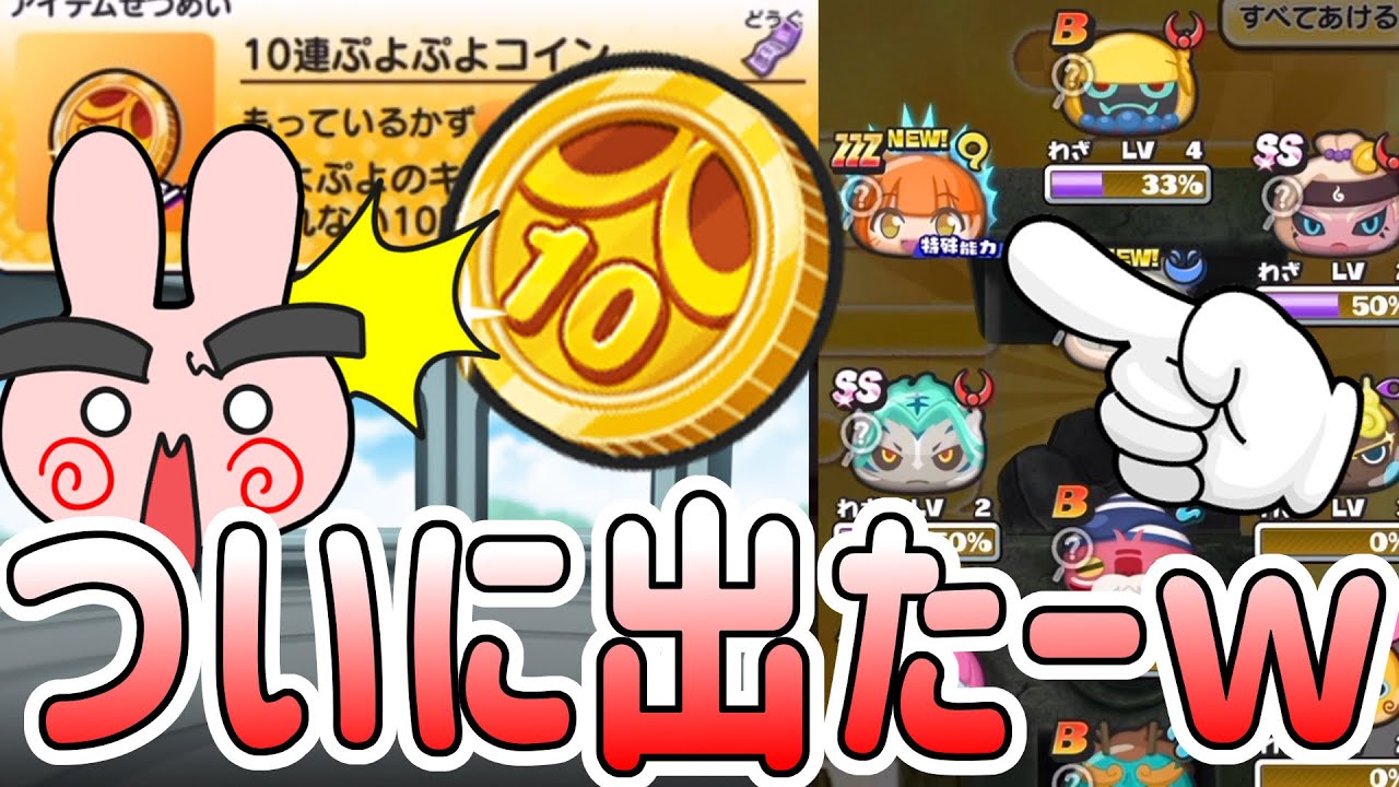 超〜激レア ぷよぷよ ぷにぷに 『超激レア！ついに10連ぷよぷよコインからZZZ