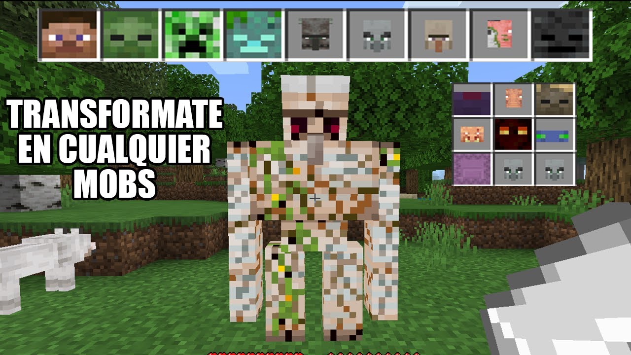 TRANSFORMATE EN CUALQUIER MOB en Minecraft PE / Bedrock 1.16 MORPH ...