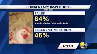Celebrity Report: Eastern Shore chicken farms main cause of bay pollution Wealth