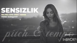 Sensizlik - Ferid Sumqayit