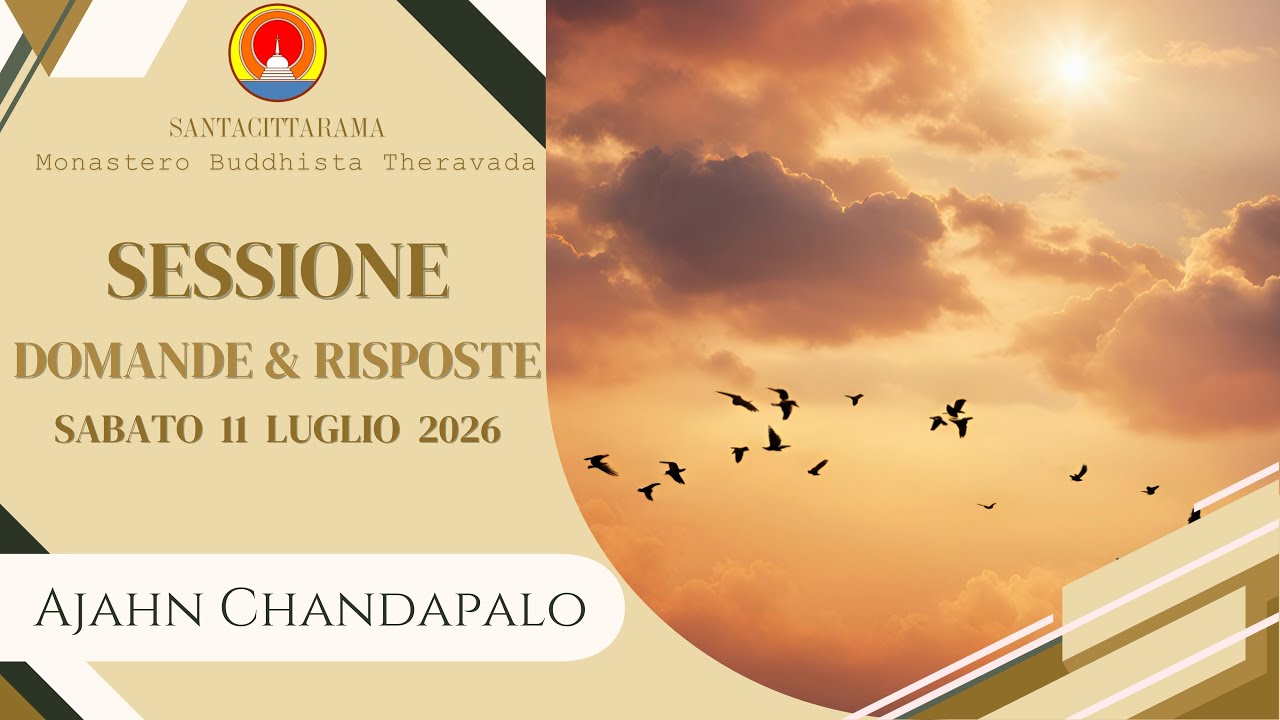 Ajahn Chandapalo - Sessione di Dhamma Domande e Risposte [Sabato 11 Luglio 2026]