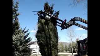 Tree Zipper TZ54 C