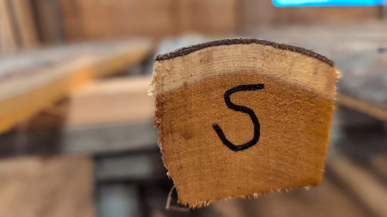 Yew Staves #1 - January 21, 2026