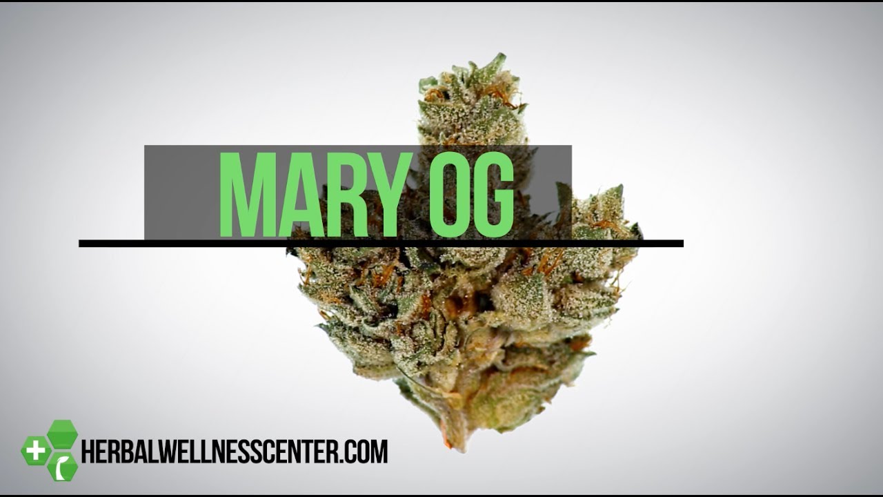 Mary OG Strain Review