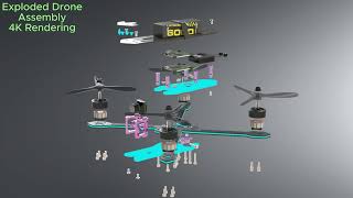 AN-5 MITES ANIMATION