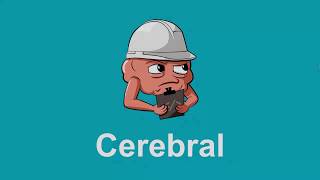 Famous Cerebral Introduction Wealth