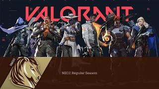 [Fall 25 Valorant] SMSU NECC Regular Season
