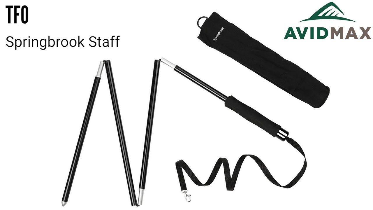 TFO Springbrook Staff Review | AvidMax - YouTube