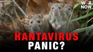 Famous Yeas & Nays: Three dead from hantavirus | Should we be worried? Wealth