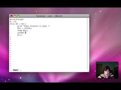 Perl Lesson 2