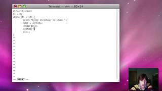 Perl Lesson 2