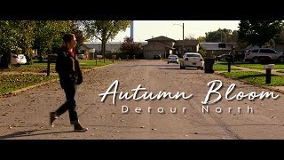 Download lagu Detour North - Autumn Bloom