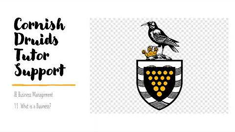 IB Business Management 1.1 - What is a Business?