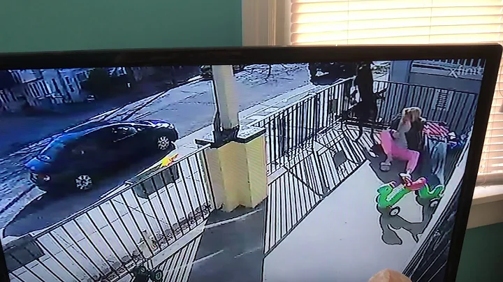 Dog vs mom
