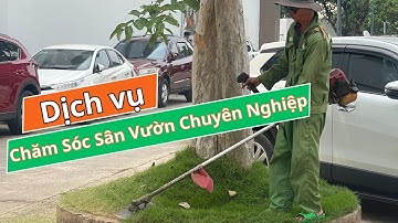 Dịch Vụ Chăm Sóc Sân Vườn Chuyên Nghiệp | Dịch Vụ Bảo Dưỡng Cây Xanh Tại TpHCM