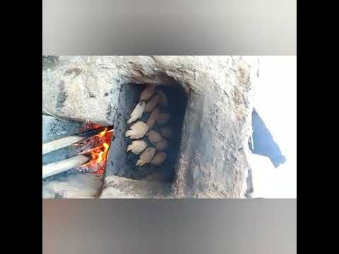 عمل السمك المشوي في الفرن البلدي 