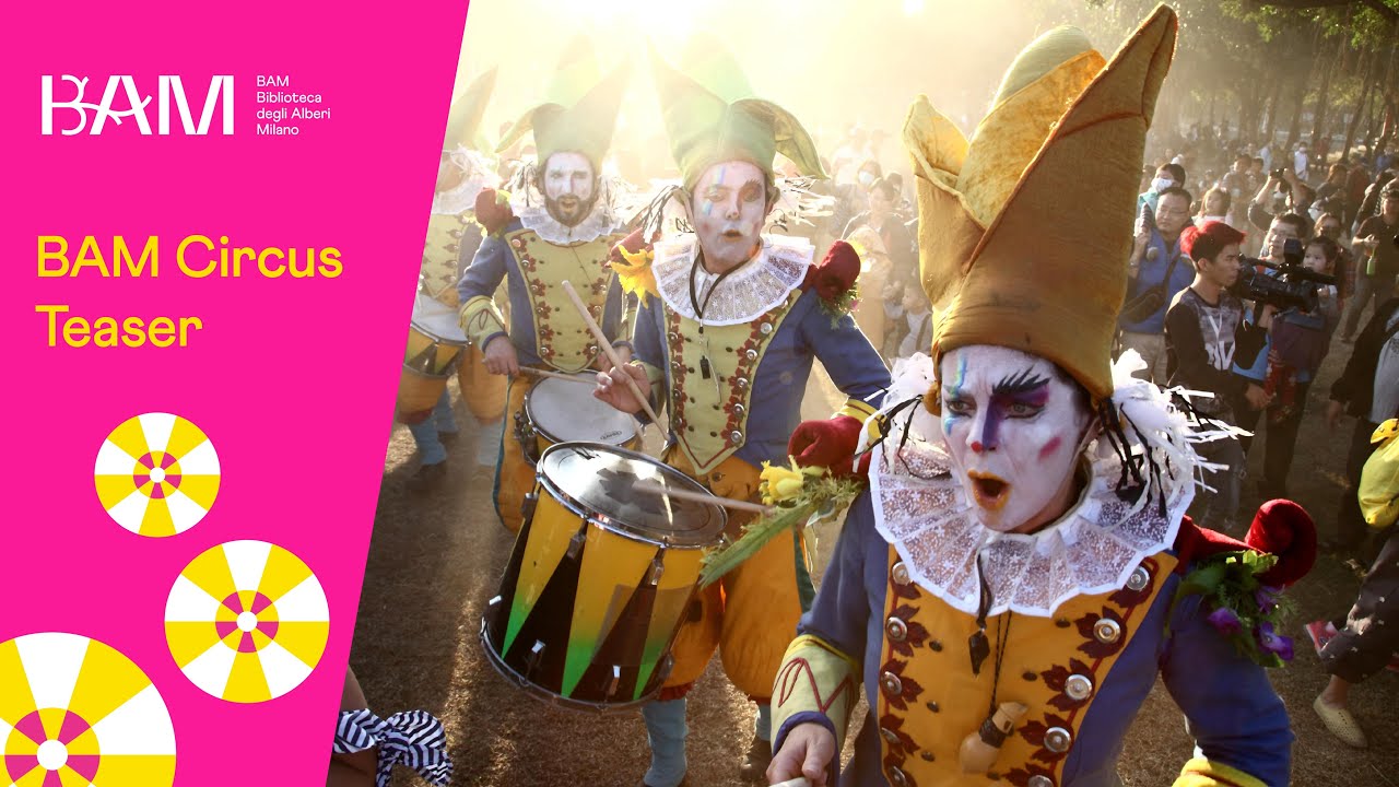 BAM Circus - Teaser