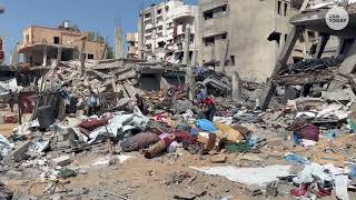 Trump announces phased Gaza disarmament deal with Hamas