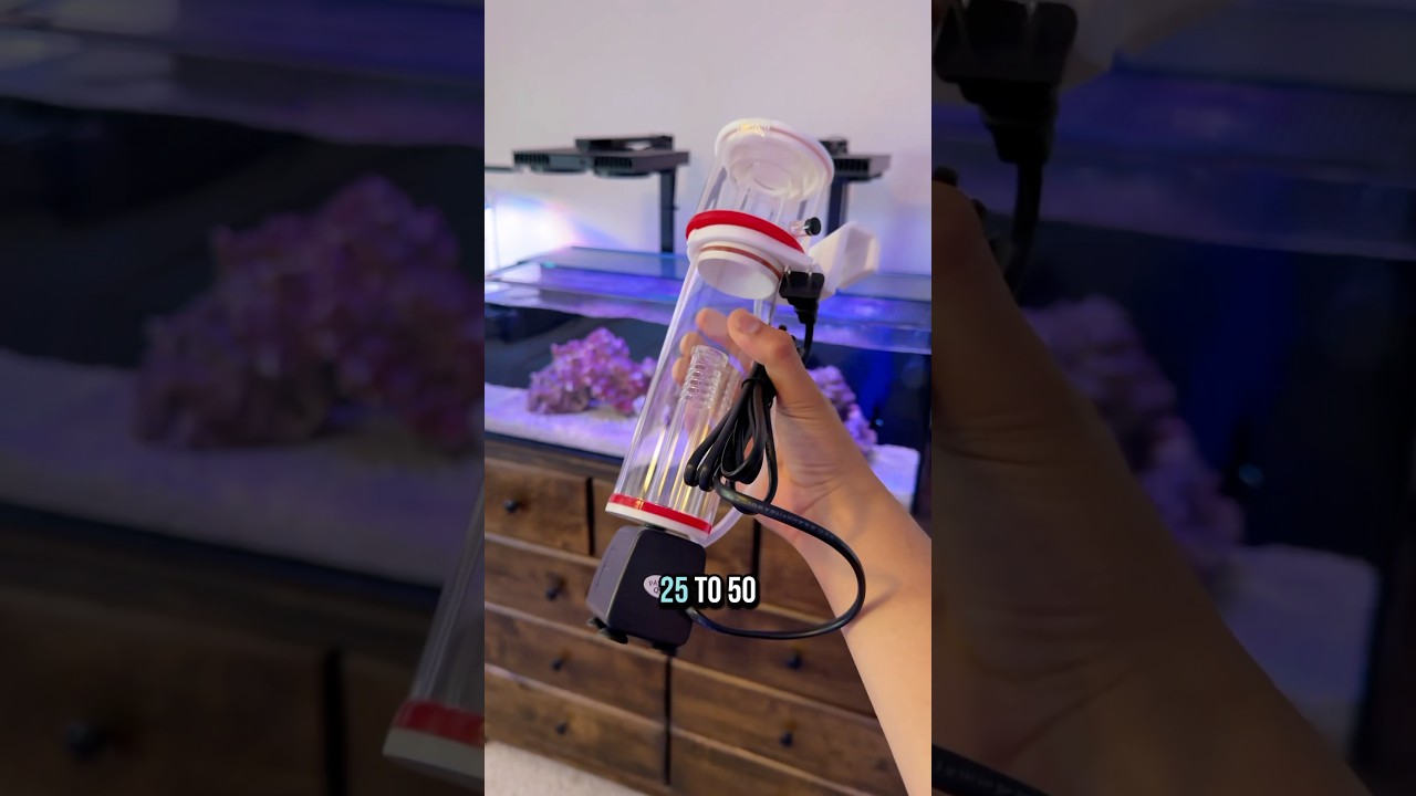 New protein skimmer for the SPS 30 gallon!