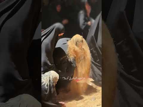 فارغ أمسى الكون بعد أن ضم الثرى جسدك 